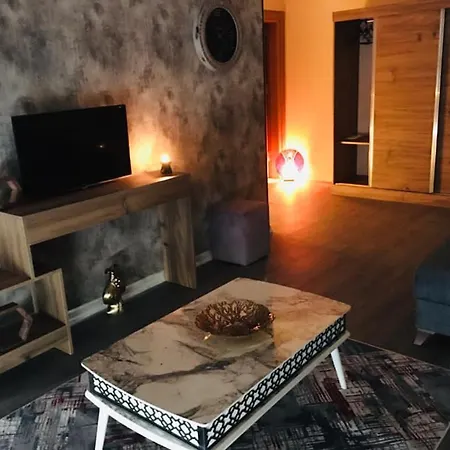 Rıse Suıt Sarikaya